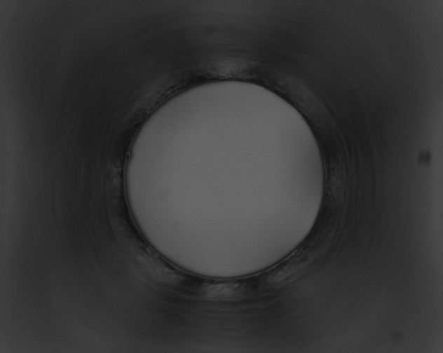 X0000091860461200710031044