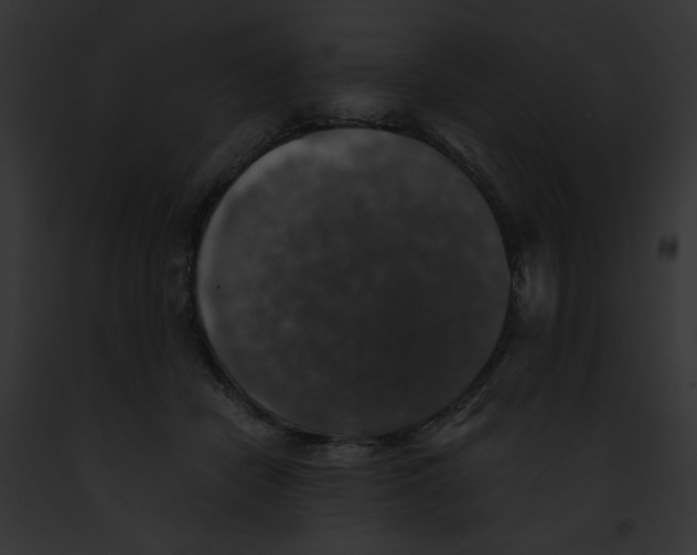 X0000091860462200710031044