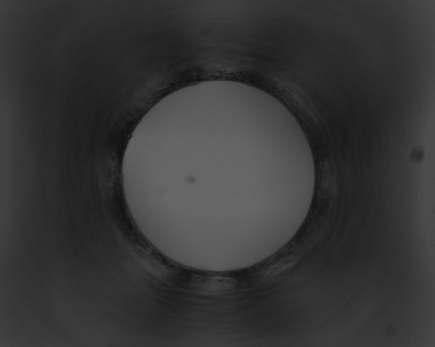 X0000091860463200710031044