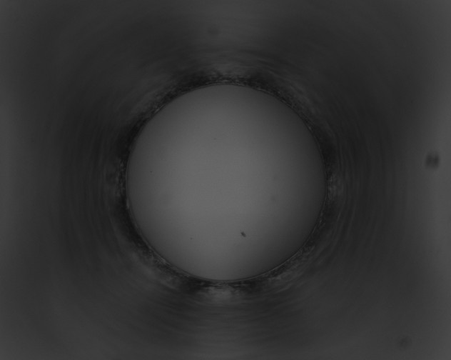 X0000091860464200710031044