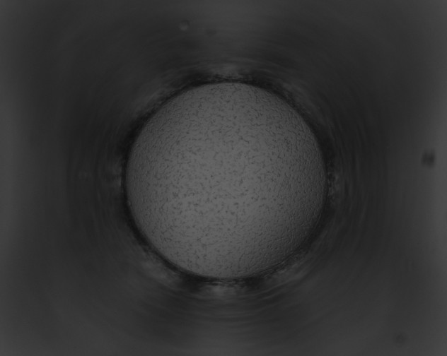 X0000091860466200710031044