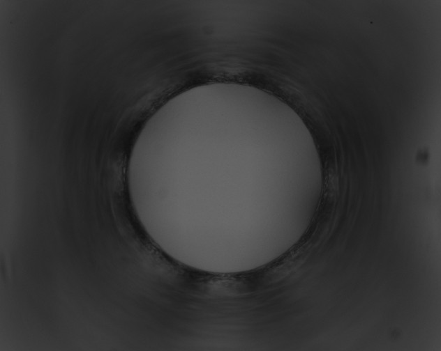 X0000091860468200710031044