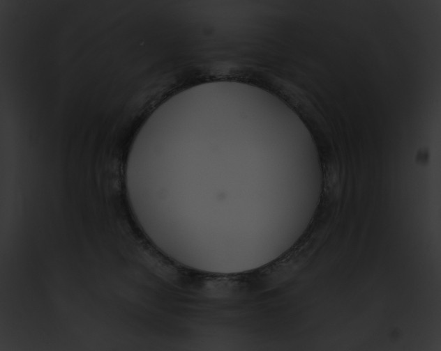 X0000091860470200710031044