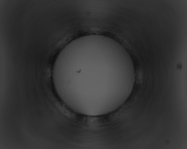 X0000091860472200710031044