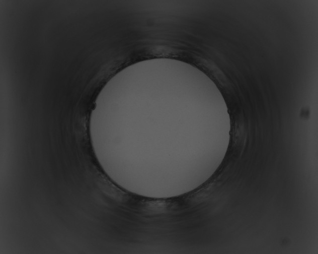 X0000091860473200710031044