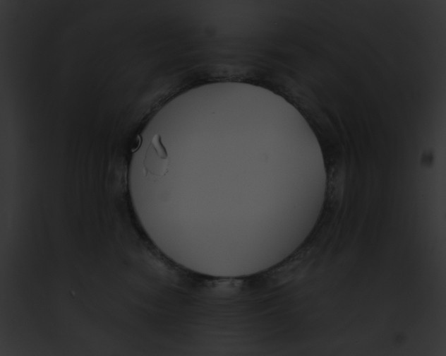 X0000091860474200710031044