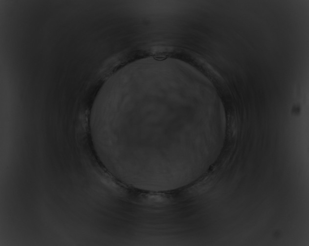 X0000091860475200710031044