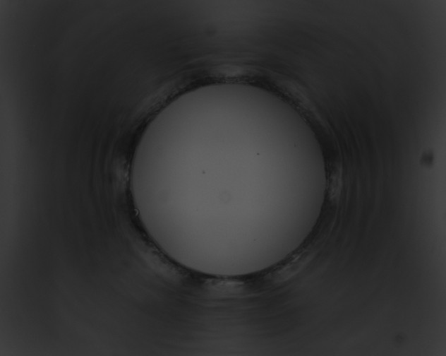 X0000091860476200710031044