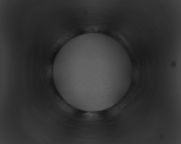 X0000091860477200710031044