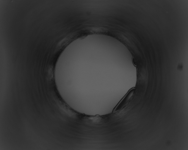 X0000091860478200710031044