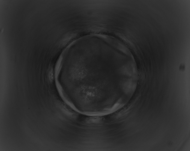 X0000091860479200710031044