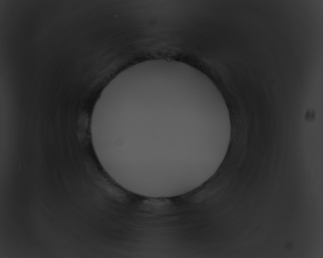 X0000091860480200710031044