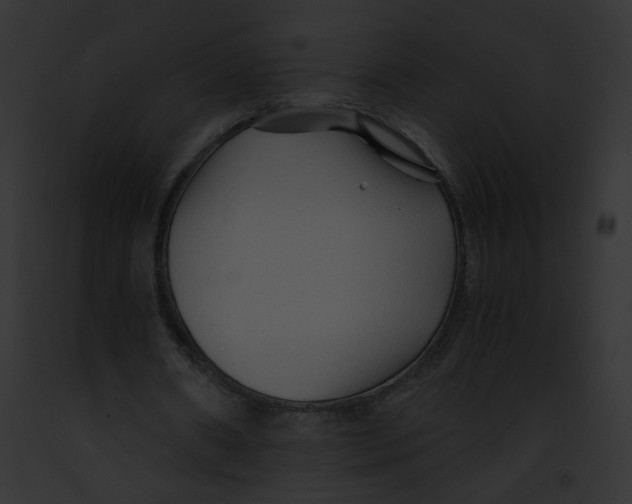 X0000091860482200710031043