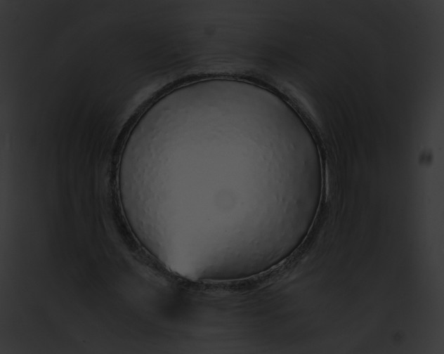 X0000091860483200710031043