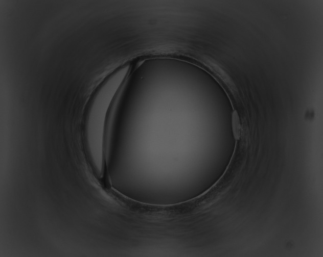 X0000091860485200710031043