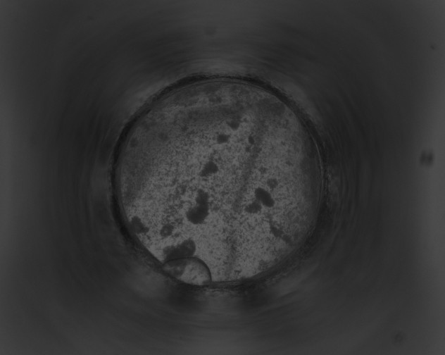 X0000091860487200710031043