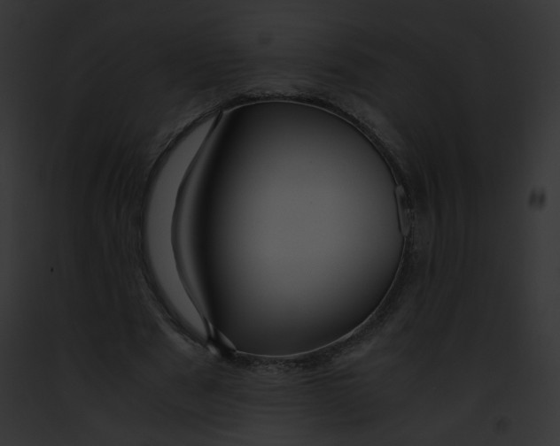 X0000091860489200710031043