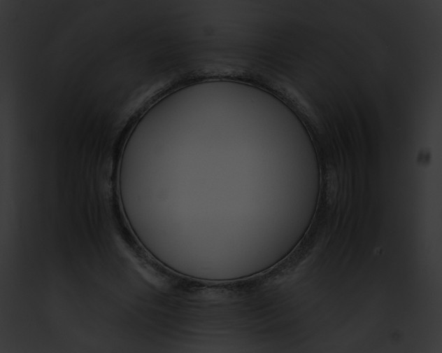 X0000091860490200710031043