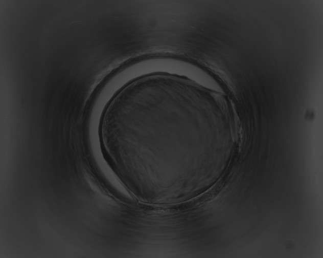 X0000091860492200710031043