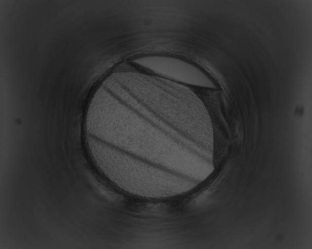 X0000091860493200710031043