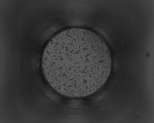 X0000091860495200710031043