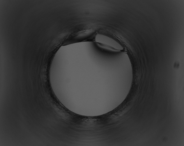 X0000091860497200710031043