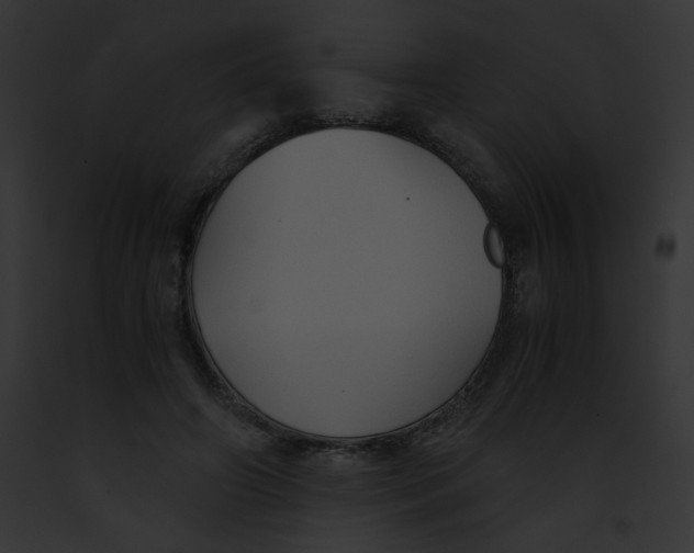 X0000091860498200710031043