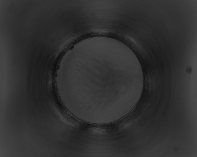 X0000091860500200710031043