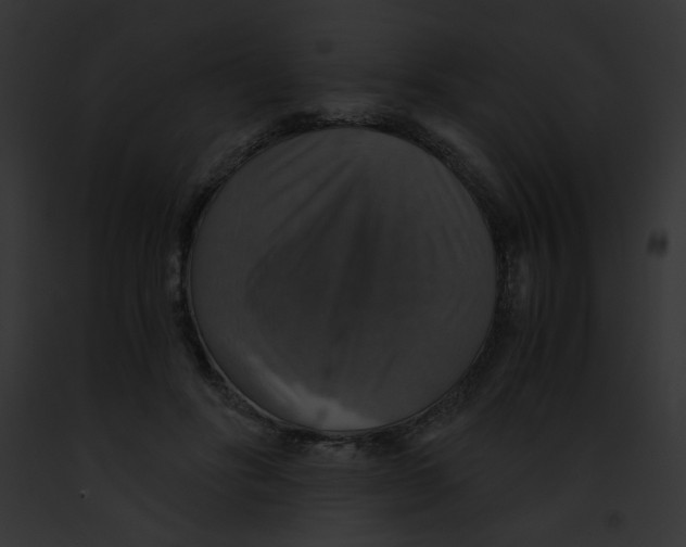 X0000091860502200710031043