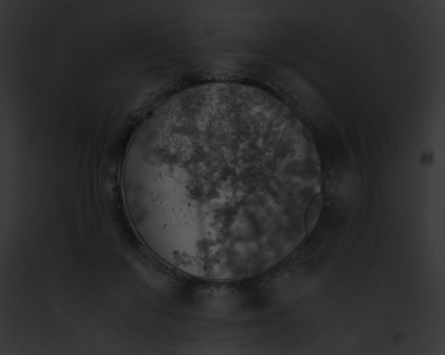 X0000091860503200710031043