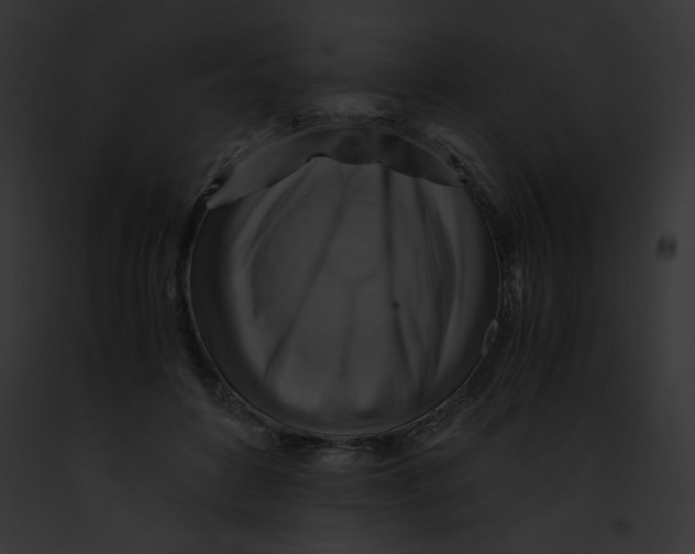 X0000091860504200710031043