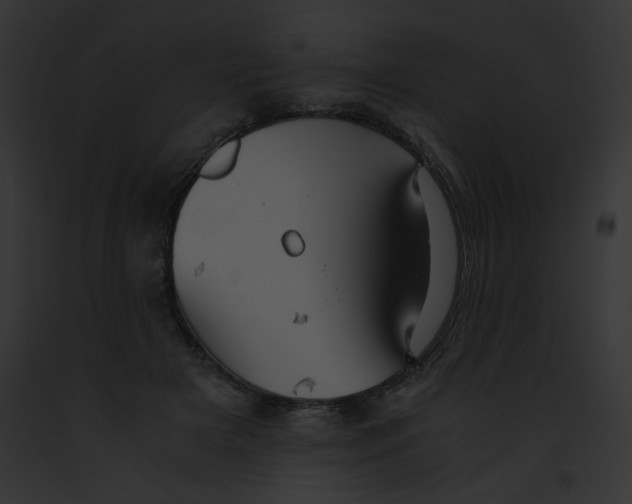 X0000091860505200710031043