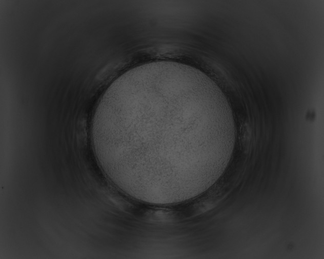 X0000091860506200710031043