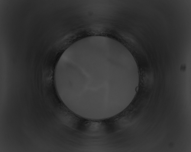 X0000091860507200710031043