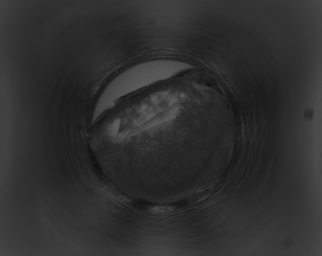 X0000091860508200710031043