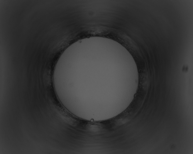 X0000091860510200710031043