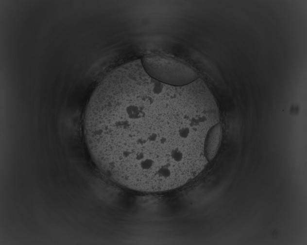 X0000091860511200710031043