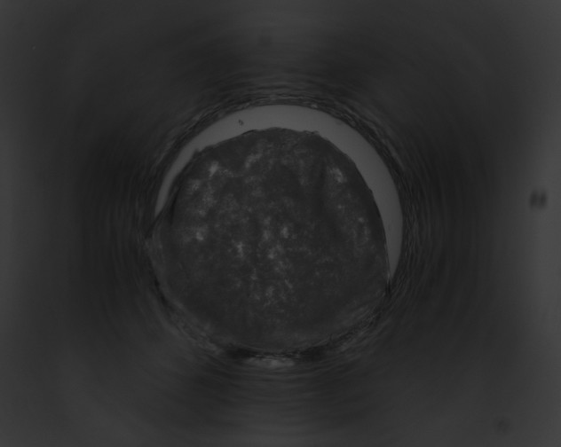 X0000091860512200710031043