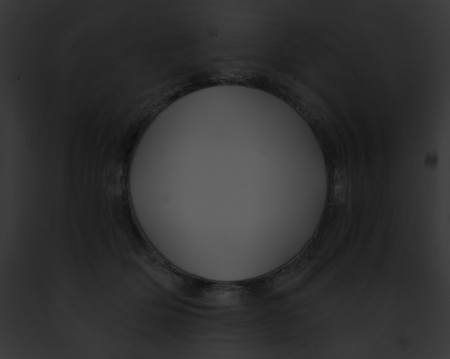 X0000091860514200710031043