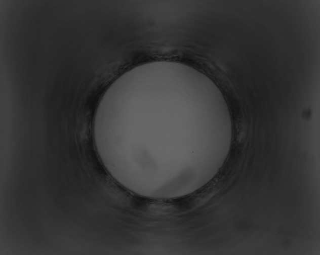 X0000091860515200710031043