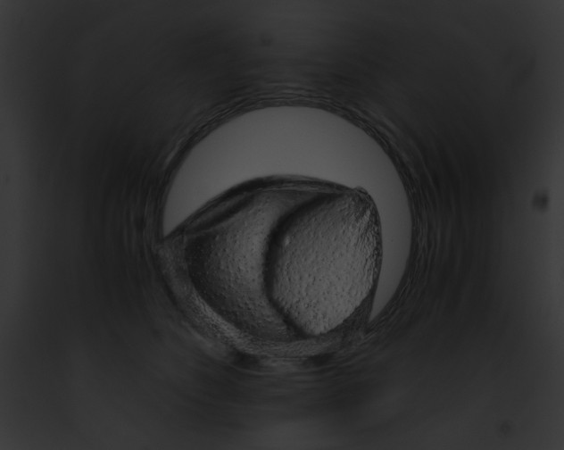 X0000091860516200710031043