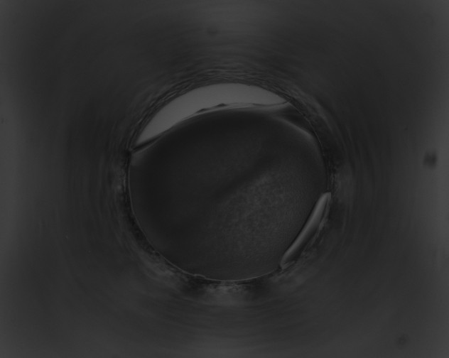 X0000091860517200710031043