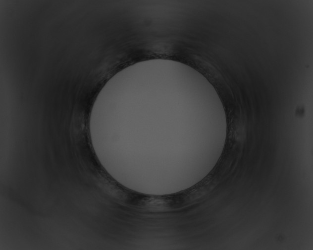 X0000091860518200710031043