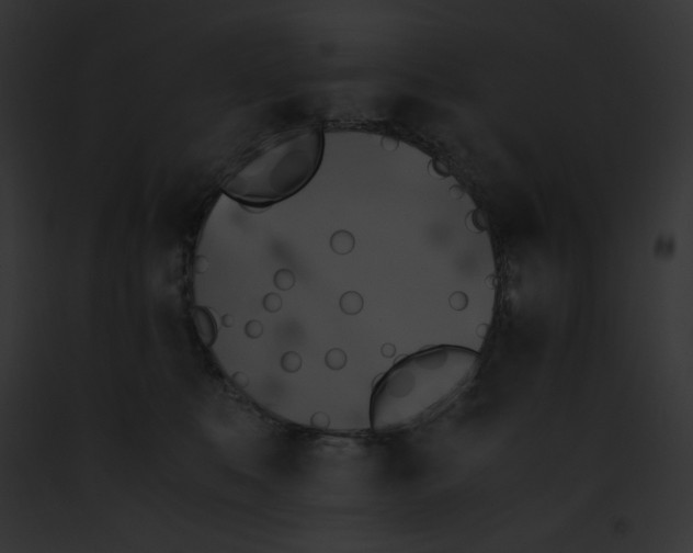 X0000091860519200710031043