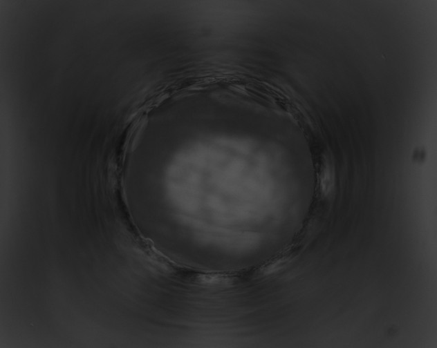 X0000091860520200710031043