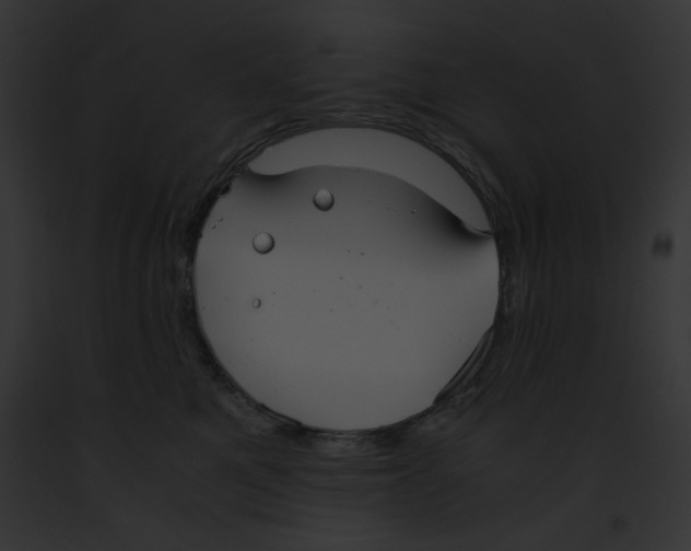 X0000091860521200710031043