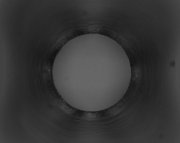 X0000091860522200710031043