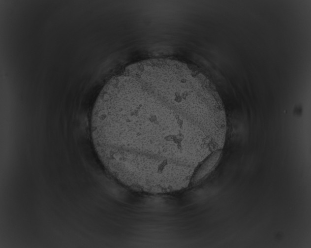 X0000091860523200710031043