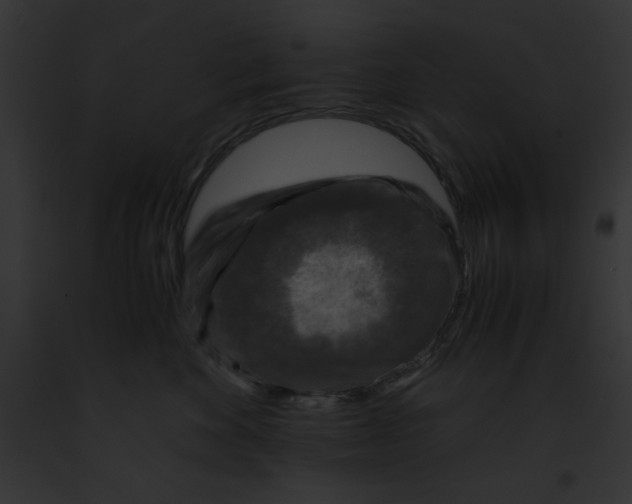 X0000091860524200710031043