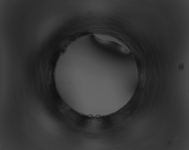 X0000091860525200710031043